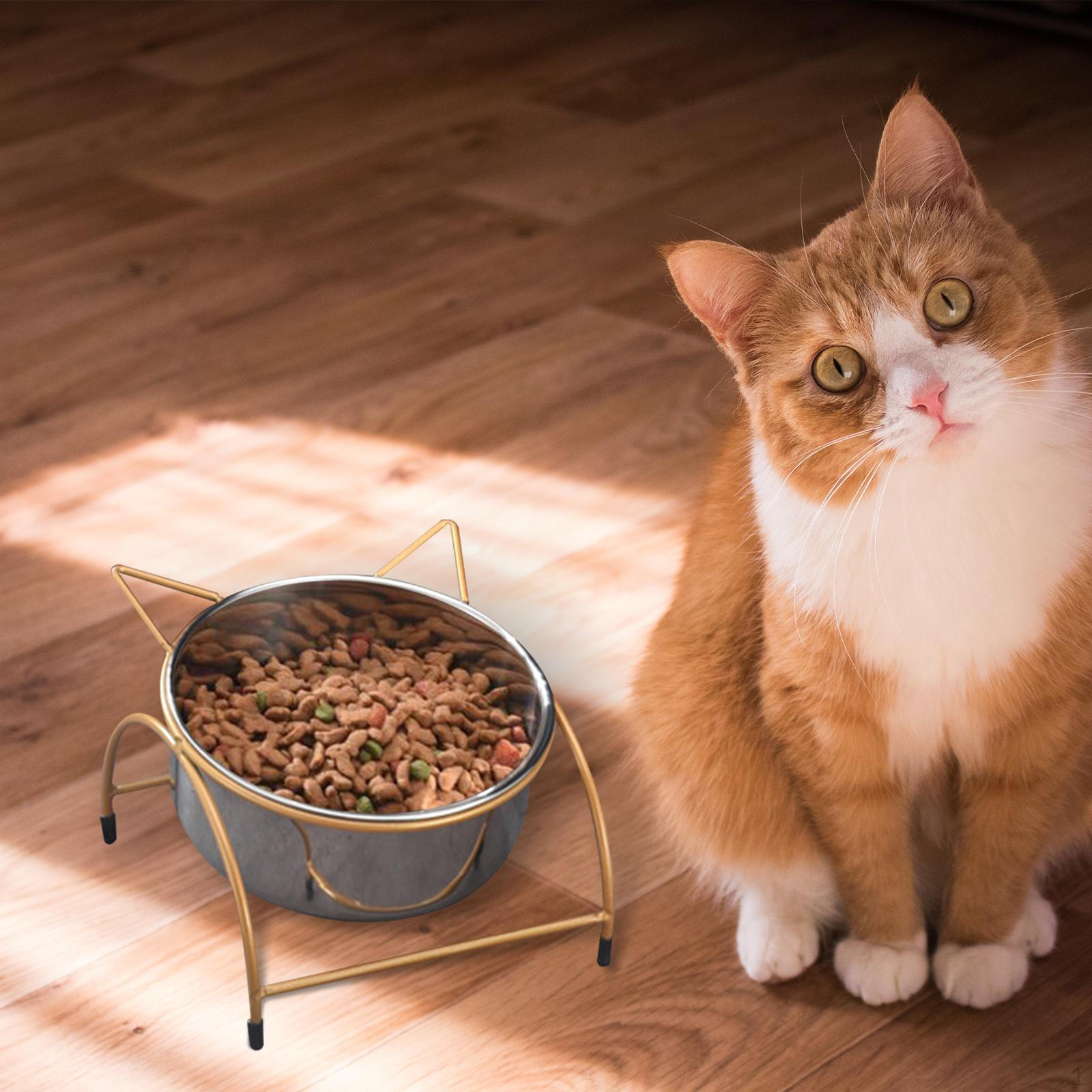 

Cat Bowl, Food Bowl Dog Drinking Feeding 12cm Aureate 1 Bowl