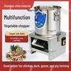 Stainless Steel Vegetable & Fruit Crusher/Cutter for Home & Farm Use