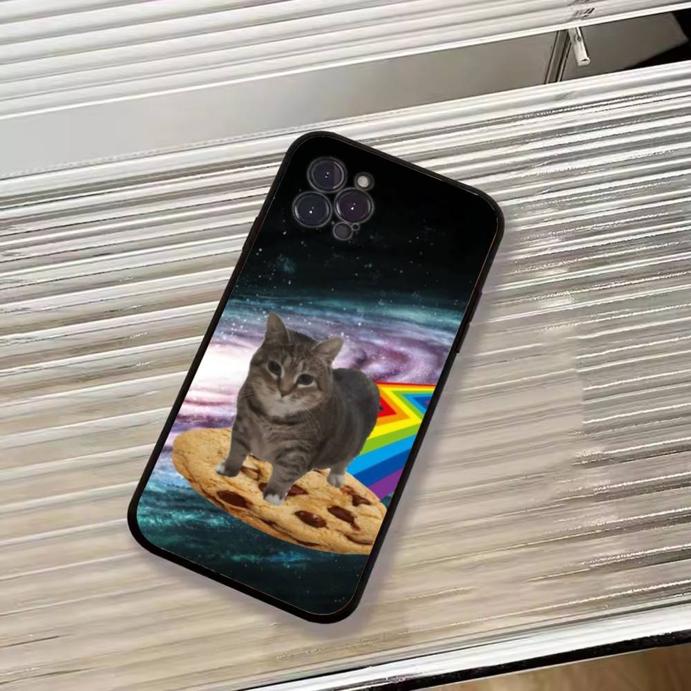 F-Lustige Tierkatze Handyhülle Silikon Weich Für IPhone 17 16 15 14 13 12 11 X XR Plus Pro Max Plus