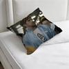 Ryan Gosling Project Hail Mary Decorative Square Pillow Cover Soft  Comfortable Pillow Case Sofa Bed Home Decoration