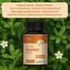 Organic Spree Brahmi Tablets – 90 Tablets | 100% Organic Certified | Supports Mental Clarity and Rejuvenates Mind | Vegan and GMP (Pack of - 1)