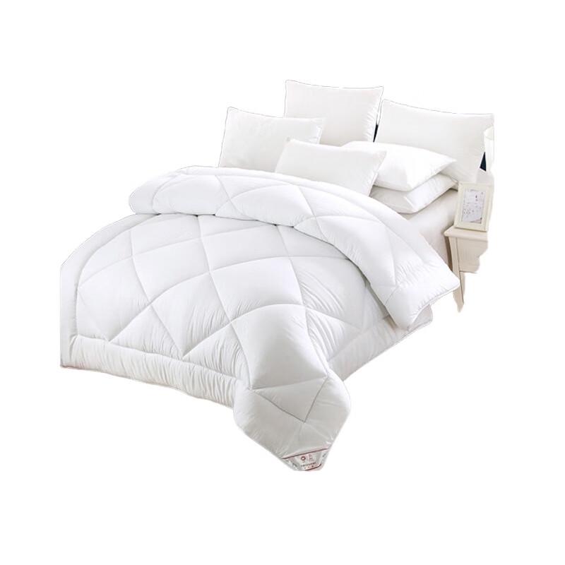 

Fazeya All-Season Thickened Quilt