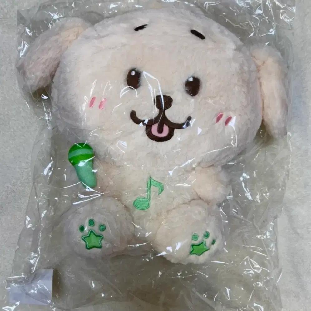 NCT Wish Wish Wish Dollar 30cm Dang Liber Jaehee