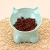 Cat Bowl With Stand Tilt Cat Bowl Cat Feeder Bowl Cat Food Water Bowl Pet Feeder