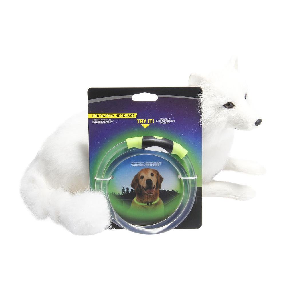 Helle Transparente PU Leuchtendes Hundehalsband für die Nacht