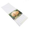 2025 Calendar Innovative Mushroom Theme Pattern Month Hanging Wall Calendar for Home