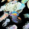 Of Rare Jellyfish Stickers Transparent Holographic Silver Foil Underwater Ocean Scrapbook Suitable for and Laptops 30-Pack - Stickers, Diaries,