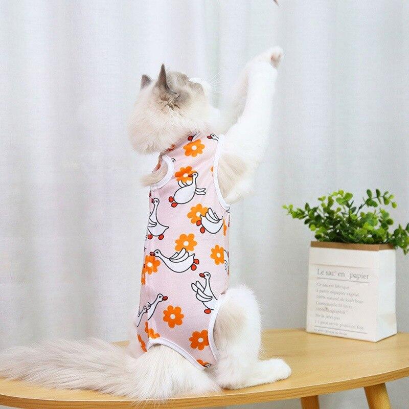 Buy Cat Jumpsuit Sterilization Clothes After Surgery Pet Clothes Cats
