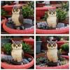 Garden Owl Statue Display Ornament Desktop Figurines Decor Sculpture for Patios