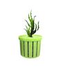 Hydroponic Fish Tank Plant Basket for Aquatic Landscaping and Decoration