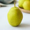 Simulated Korla Fragrant Pear Simulated Fruit Model Sculpture Green Artificial Fruits Fake Fruit Ornaments Pear Model Decoration