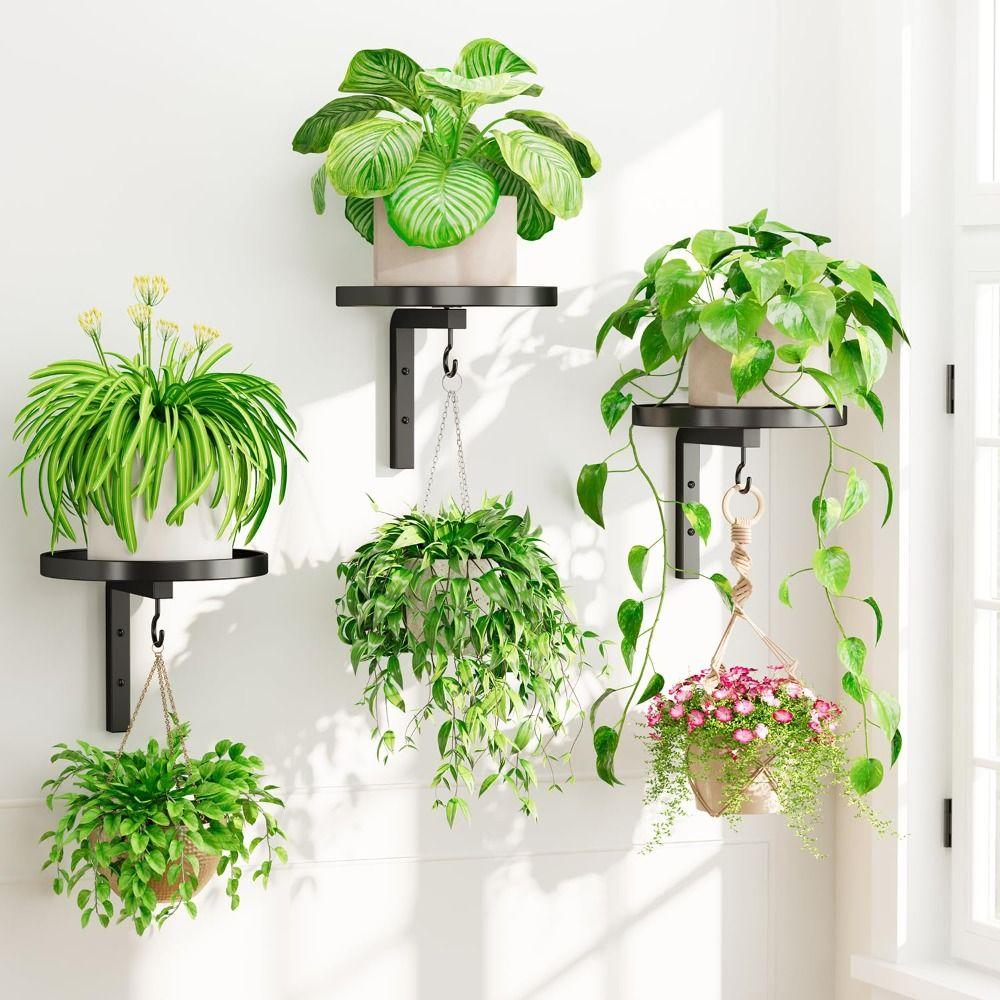 Wall Mounted Floating Flower Display Stand Metal Wall Plant Stand Plant Hangers  Indoor Outdoor