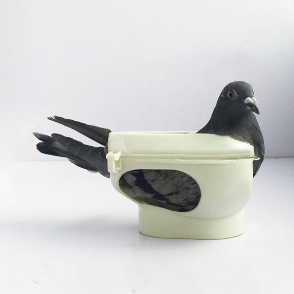 Taubenhalter, Kunststoff-Taubenhalter, Vogel-Festrahmen, Fütterungsspritze für Vögel, Tauben, Papageien, Küken, Injektionsfütterung
