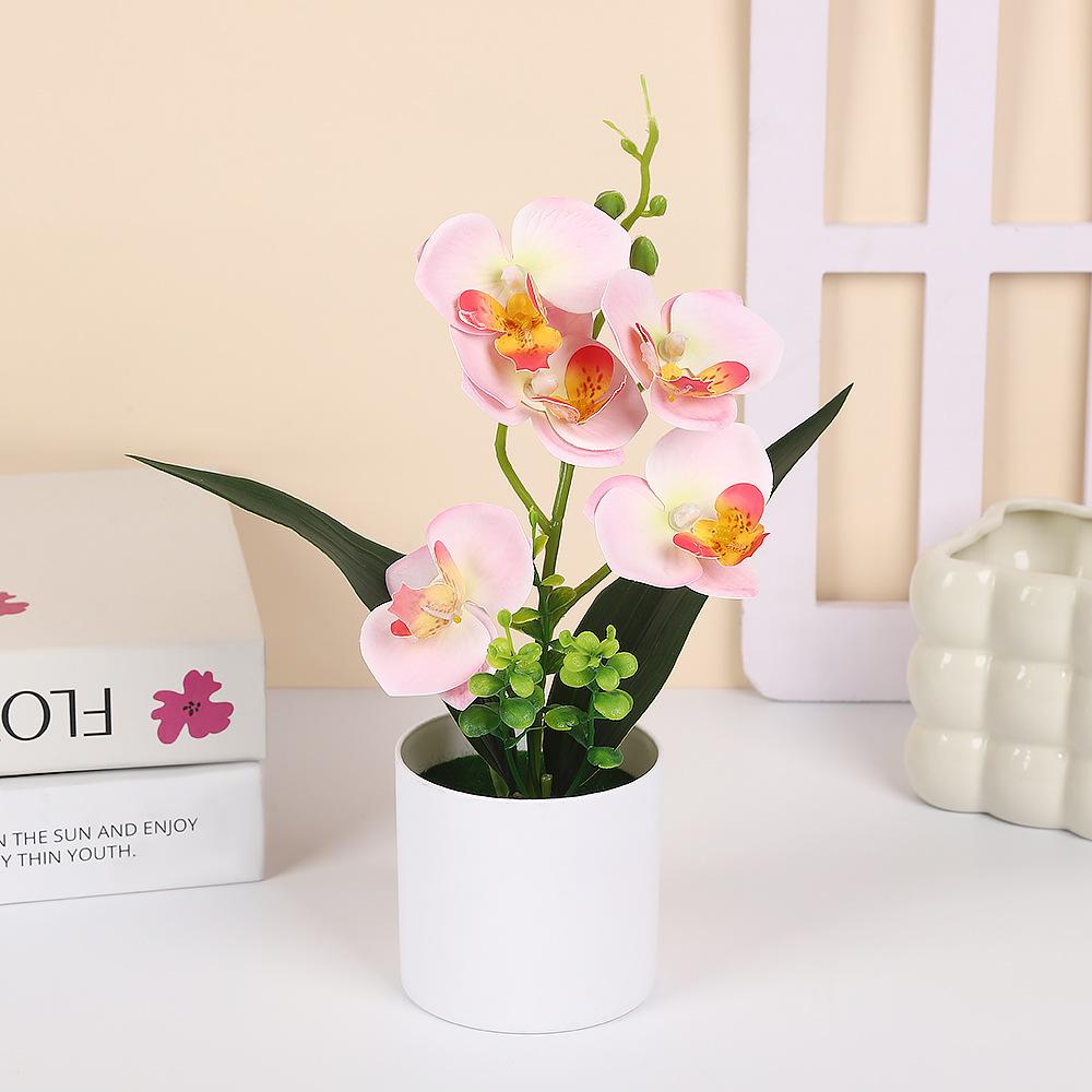 5 Plantas Simuladas de Phalaenopsis en Maceta para Decoración de Hogar y Oficina Plantas Pequeñas en Maceta Falso Bonsái Plantas Verdes