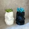 Irregular Art Vase Hydroponic Vase Desktop Ornament Plastic Flower Pot Home Garden Decoration
