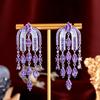 Needle Elegance Temperament Light Luxury High Sense Zircon Fringed Earrings Arch Shape Earrings Earrings