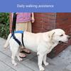 Pet Rear Leg Support Assistance Strap With Upgraded Design Auxiliary Belt For Joint Pressure Relief And Easy Movements