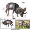 Realistic Rhinoceros Science Toy: African & Indian Models for Children's Cognitive Learning