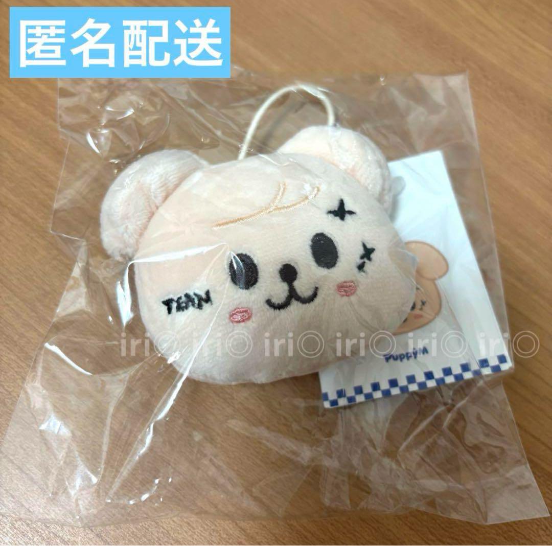 [USED] Papim Papim Name Tag KARMA Pop-Up Stray Kids Seungmin