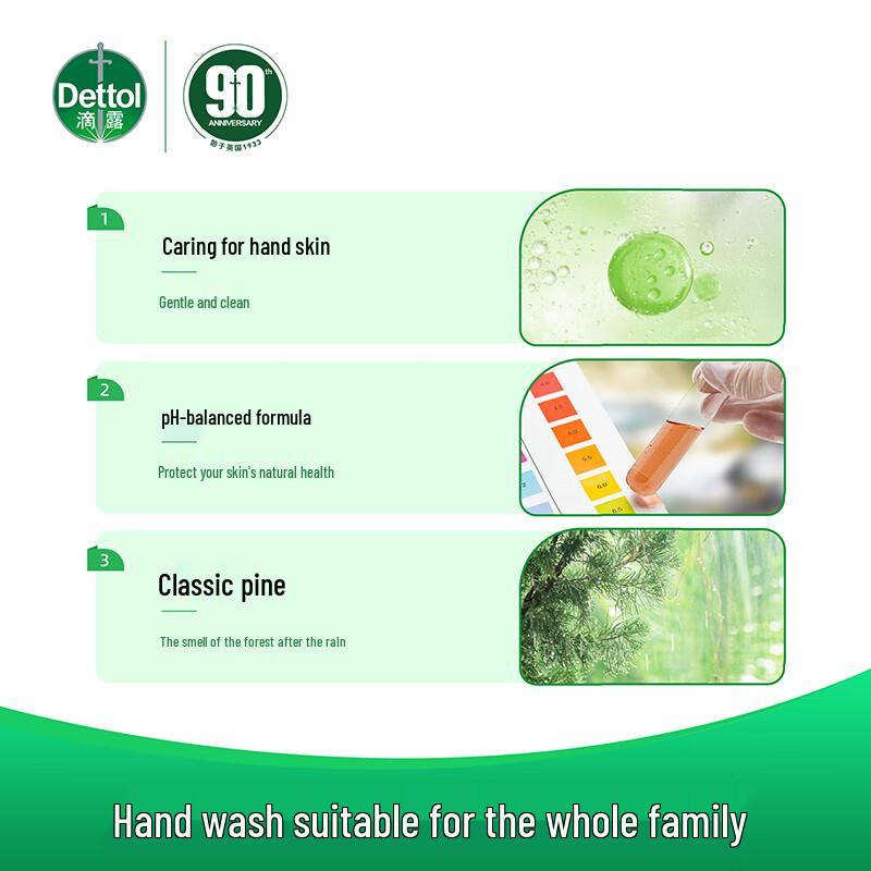 Dettol Pine Scent Hand Wash