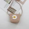 2024 Women's Mini Cartoon & Straw Flower Messenger Bags - Cute Beach Accessory