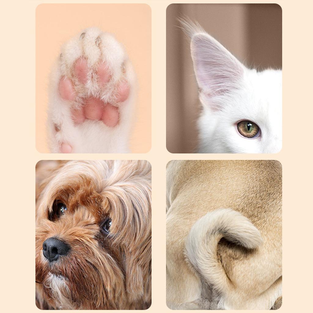 Cat Grooming Shaver with Light Low Noise USB Rechargeable Shaver Pet Hair Trimmers Set Suitable for Dogs Cats Long Hair