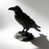3D Printed Simulation Crow Model Raven Prop Bird Ornaments Craft Crow Statue Crafts  Farm