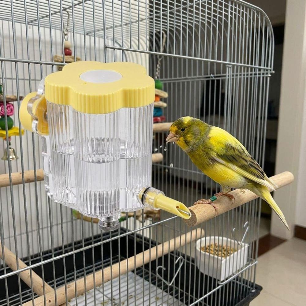 Leak-Proof Automatic Bird Drinker Visible Bird Water Dispenser Bird Cage Water Bottle  Indoor Use