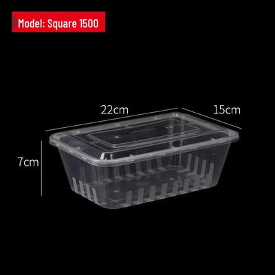 Disposable Rectangular Plastic Food Containers