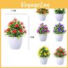 Plastic Causonis Japonica Plant For Indoor Decoration With Realistic Appearance