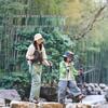 Naturehike Aluminum Alloy Telescopic Trekking Pole