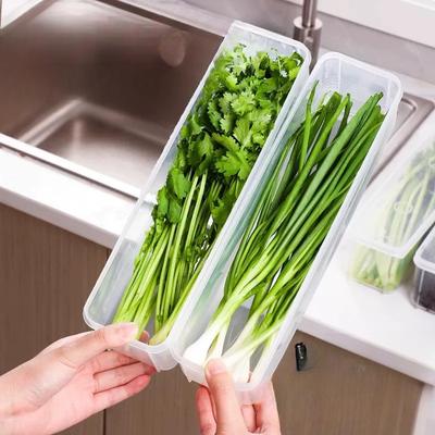 Storage and Organization Box for Scallions Coriander Whole Ginger Garlic Noodles and Eggs Specially Designed for The Refrigerator
