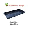 Thickened Multi-Hole Seedling Tray for Strawberries and Vegetables