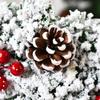 Large Snowflake Door Wall Ornament Winter Christmas Decor Christmas Wreath Garland Berry Wreath