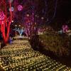 Neu mit Fernbedienung Netzvorhang Licht Wasserdicht Warmweiß LED Fischernetzlicht Lichterkette für den Garten Terrassenbeleuchtung