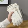 Fashion Lining Ski Gloves Windproof Thick Cotton Touch Screen Gloves Waterproof Winter Warm Gloves Winter Season