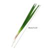 Simulated Vegetables Realistic Scallions Garlic Sprouts Props for Hotel Kitchens
