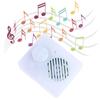 Small Squeezed Music Box Button Play Recordable Voice Module Sound Box