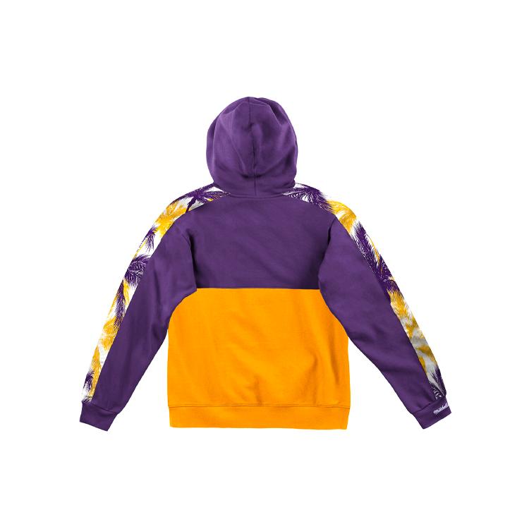 Mitchell Ness Sweatshirts Unisex Purple Hooded Thickened Regular FPHDDF18024-LALPURP