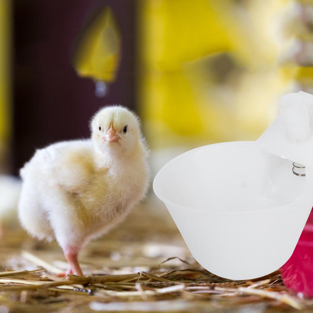 12 Pcs Bird Automatic Drinking Hanging Cups for Quail Pigeon Cage Birds Feeding Equipments