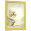 Hashy Surprise Picture (Cat) 3D Art with Built-in LED, Art Frame, Stylish Bedside Light, White Light, Warm Light, Natural Light, Room, Bedroom Decor