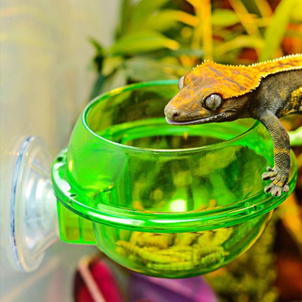 Gecko Escape Proof Suction Cup Food Container Reptile Feeding Dish Feeder Plate Worm Bowl