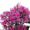 Künstliche Pflanzen Bonsai Kleiner Baum Topf Blumen Topfpflanzen Ornamente Für Zuhause Festival Hochzeitsdekoration Feiertagsdekoration
