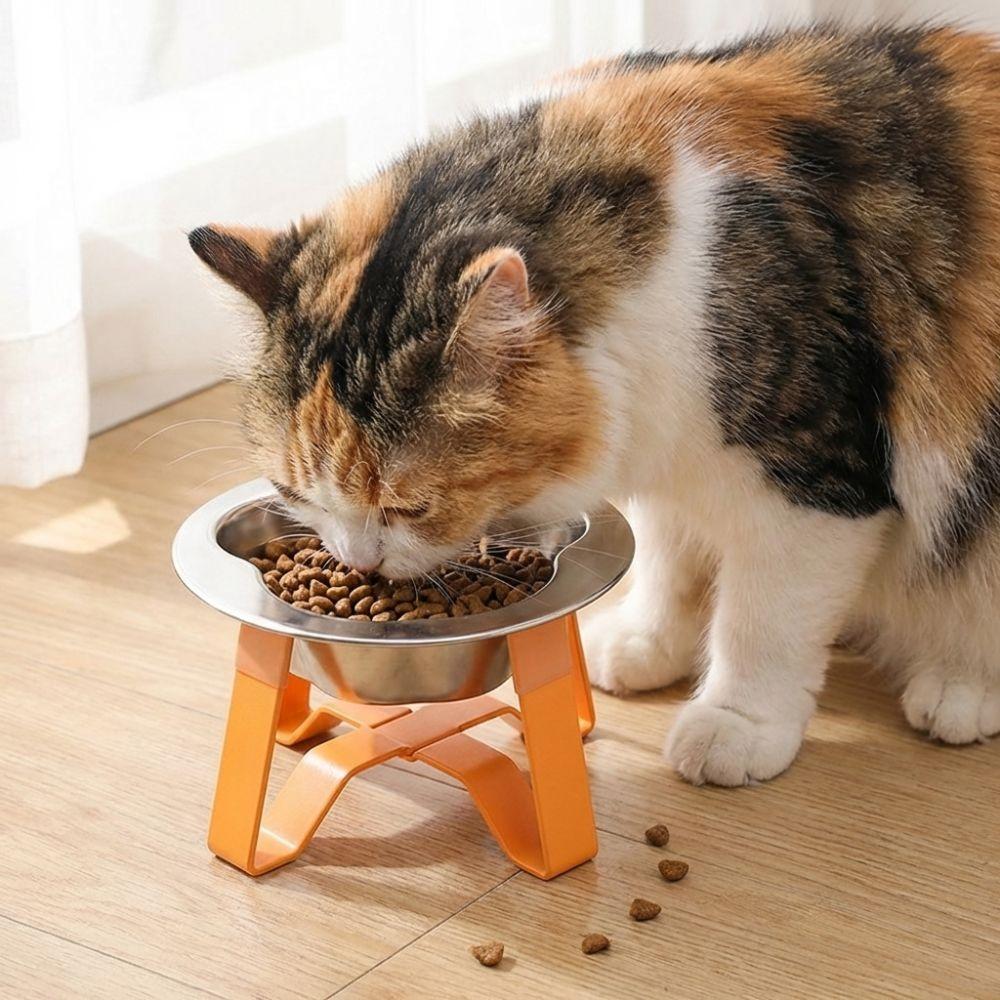 Detachable Pet High Footed Bowl Protect Cervical Spine Dog Drinking Bowl  Pet Feeding