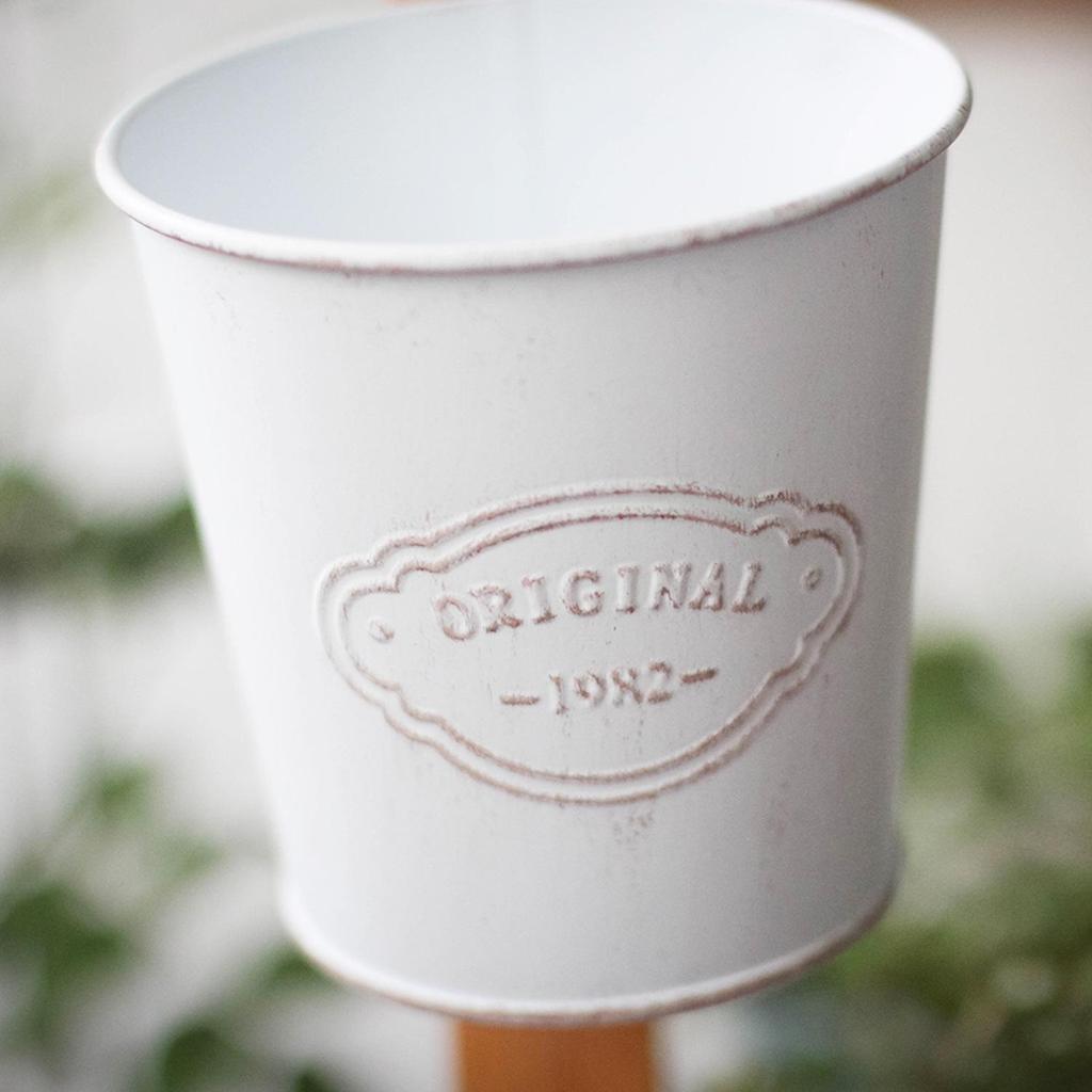 Vintage Galvanized Tinplate Hanging Bucket Flower Pot with Curved Hook