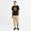 Timberland Men's Short Sleeve Tree Logo T-Shirt, Black/Wheat, Size L (TB0A6281P561)