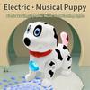 Electric Walking Dog Toy with LED Light & Music Interactive Electronic Pet Puppy Robot Dog Toy for Kids Birthday Xmas Gift