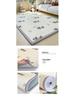 Ice Bean Soft Cool Tatami Mattress for Bedrooms, Dorms, and Single Person Rentals.