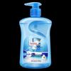 Diao Brand Sea Salt Hand Wash