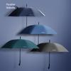TianTang 193E Automatic Business Umbrella